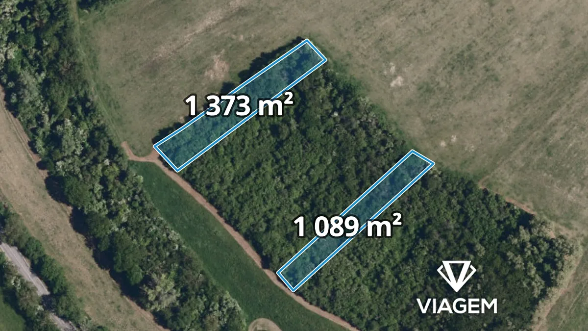 Prodej lesa 2462 m²